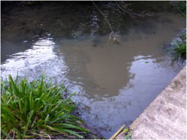 Vale Brook culvert discharging into the River Chess